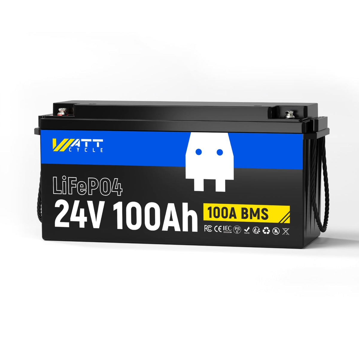 24V 100Ah LiFePO4 Battery A170379
