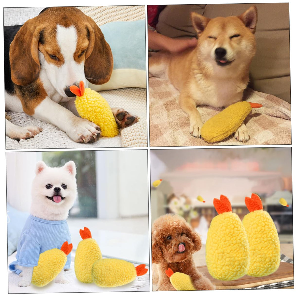2 Pack Plush Squeaky Dog Toy J506876