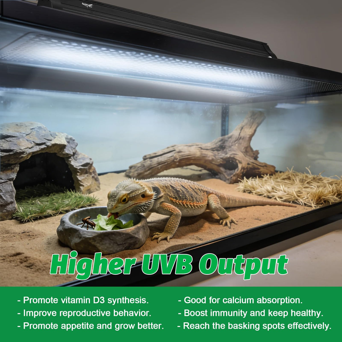 15W T8 UVB Reptile Light Fixture 18 Inch B139